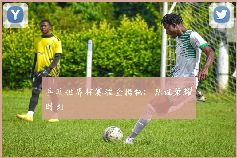 乒乓世界杯赛程全揭秘：见证荣耀时刻