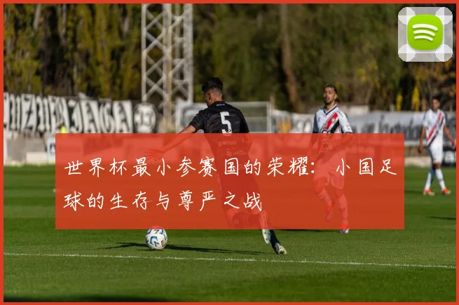 世界杯最小参赛国的荣耀：小国足球的生存与尊严之战