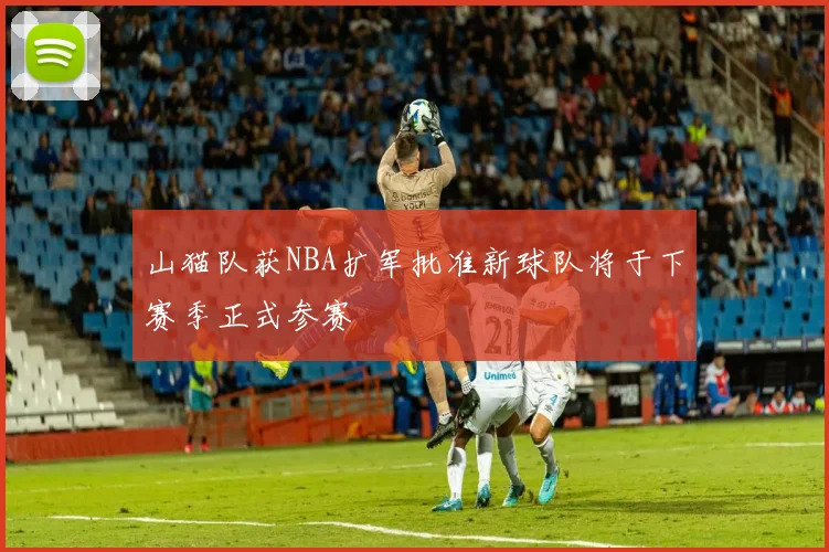 山猫队获NBA扩军批准新球队将于下赛季正式参赛