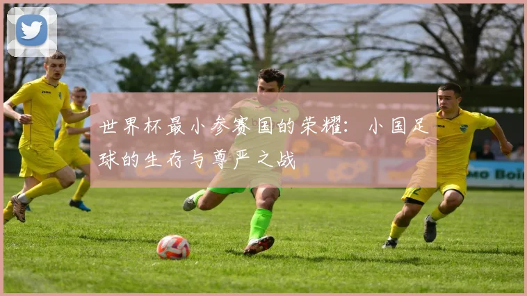 世界杯最小参赛国的荣耀:小国足球的生存与尊严之战