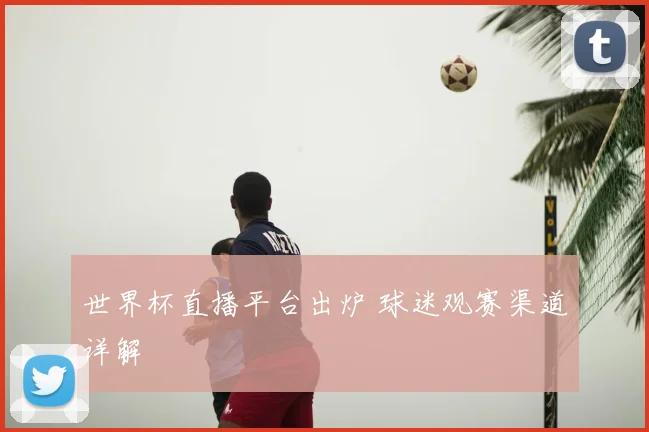 世界杯直播平台出炉 球迷观赛渠道详解