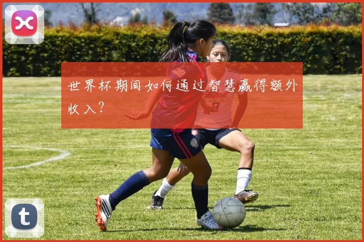 世界杯期间如何通过智慧赢得额外收入？