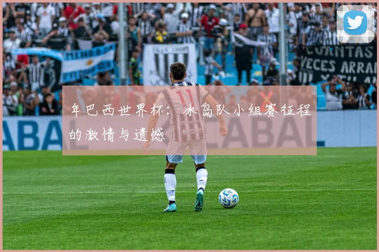 年巴西世界杯：冰岛队小组赛征程的激情与遗憾